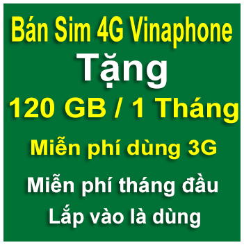 sim 4g vinaphone 120gb