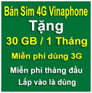 sim 4G Vinaphone 30GB