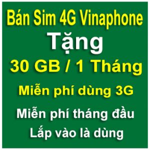 sim 4G Vinaphone 30GB