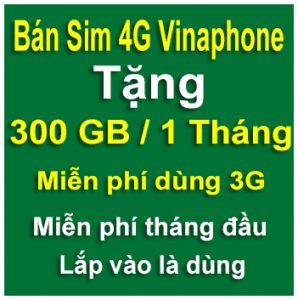 Sim 4G Vinaphone 300GB