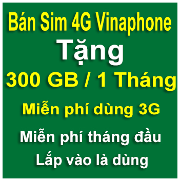 sim-4g-vinaphone-300gb