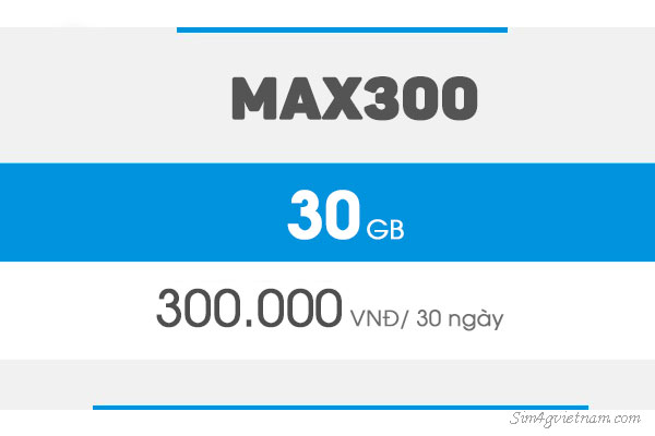 Max300